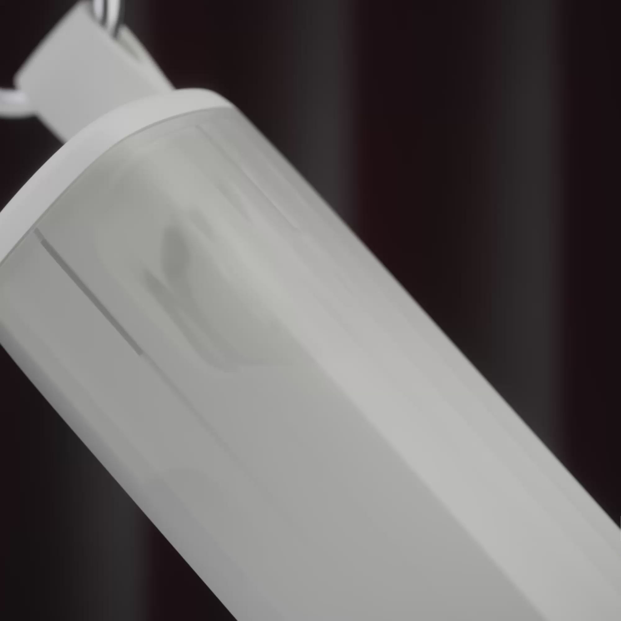Bone