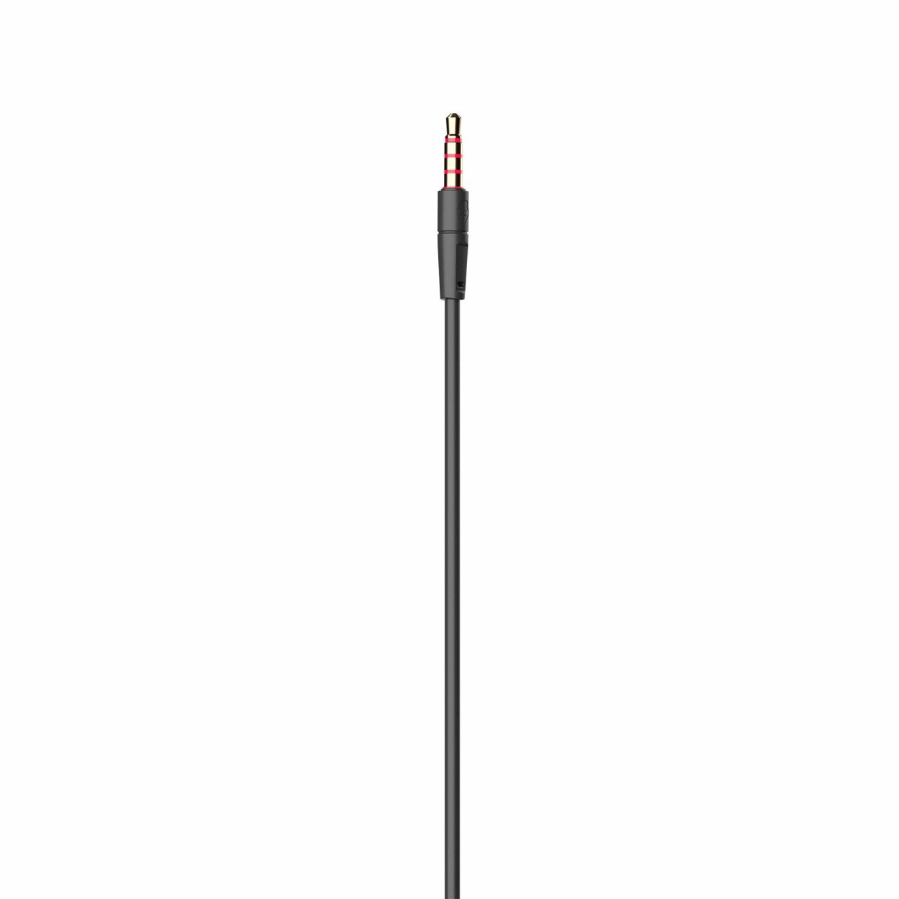 Skullcandy AUX Cable